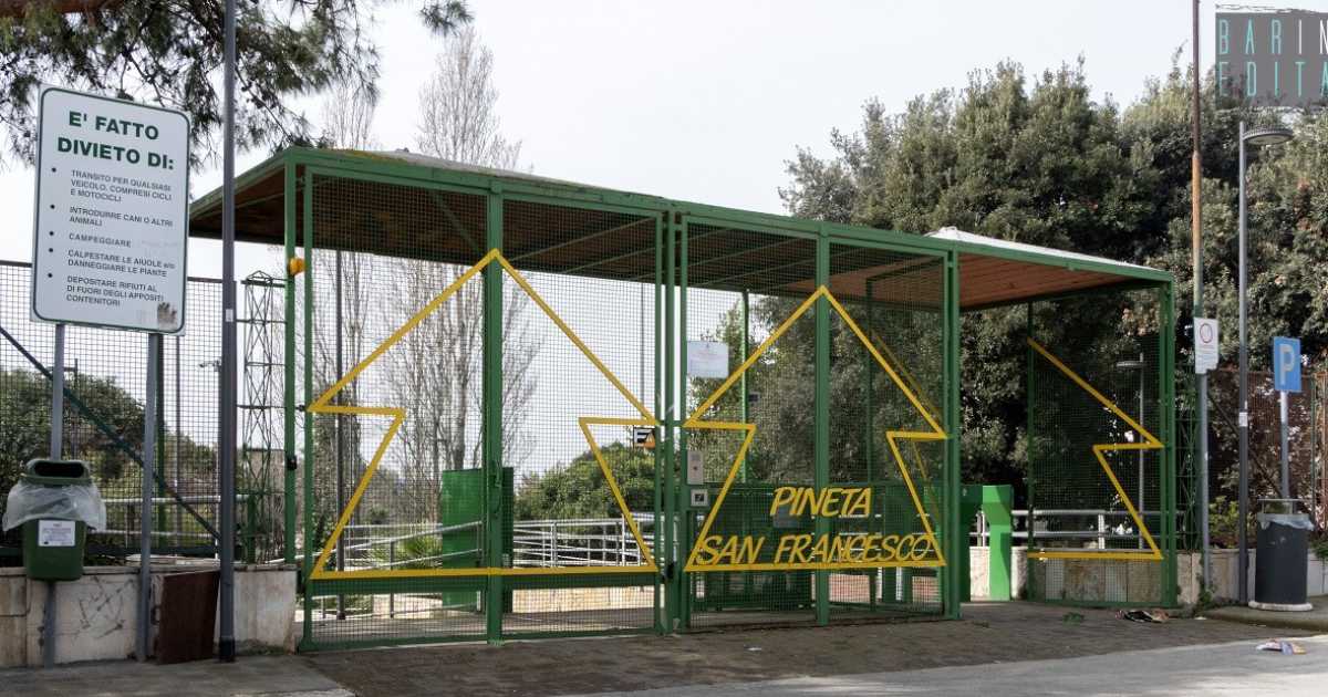 Tra bar dismessi e vecchi labirinti, la storia della Pineta San Francesco: il primo parco di Bari 